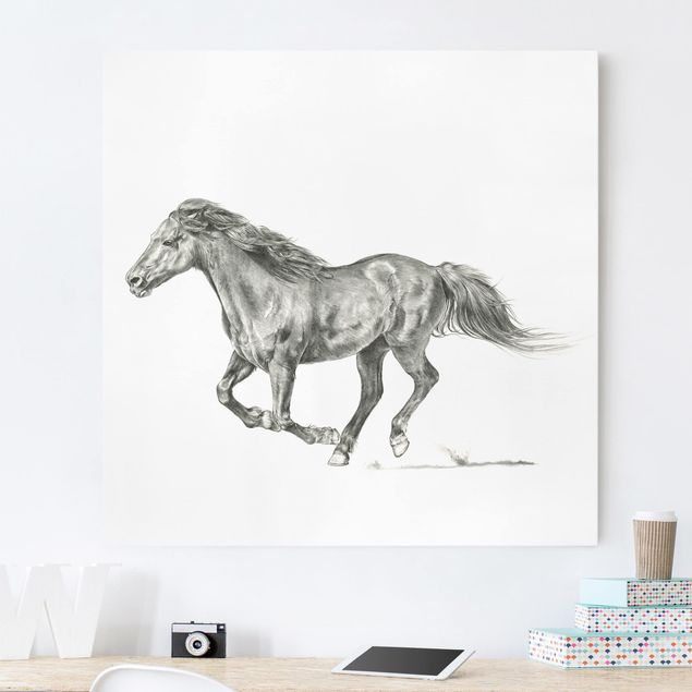 Horse canvas wall art Wild Horse Trial - Mare