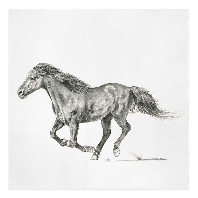 Animal wall art Wild Horse Trial - Mare