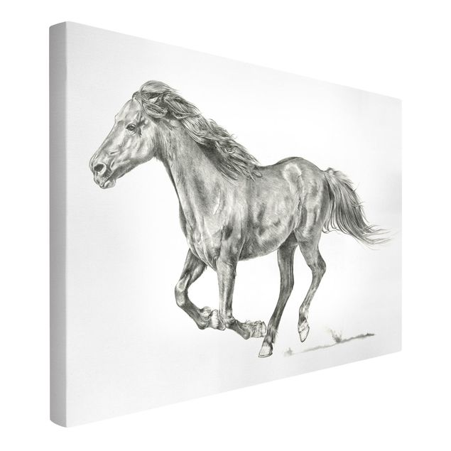 Canvas black and white Wild Horse Trial - Mare