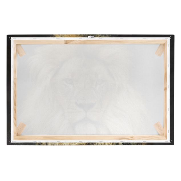 Canvas prints animals Wisdom Of Lion