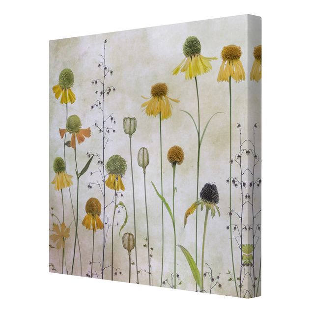 Canvas wall art Delicate Helenium Flowers