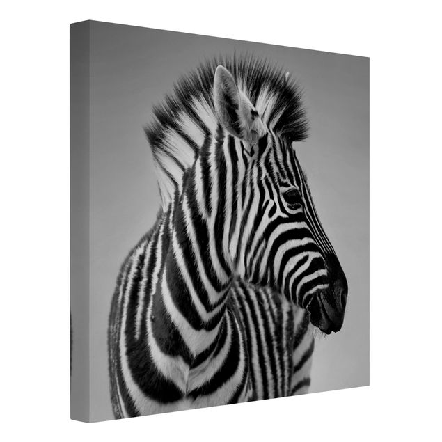 Wall art black and white Zebra Baby Portrait II