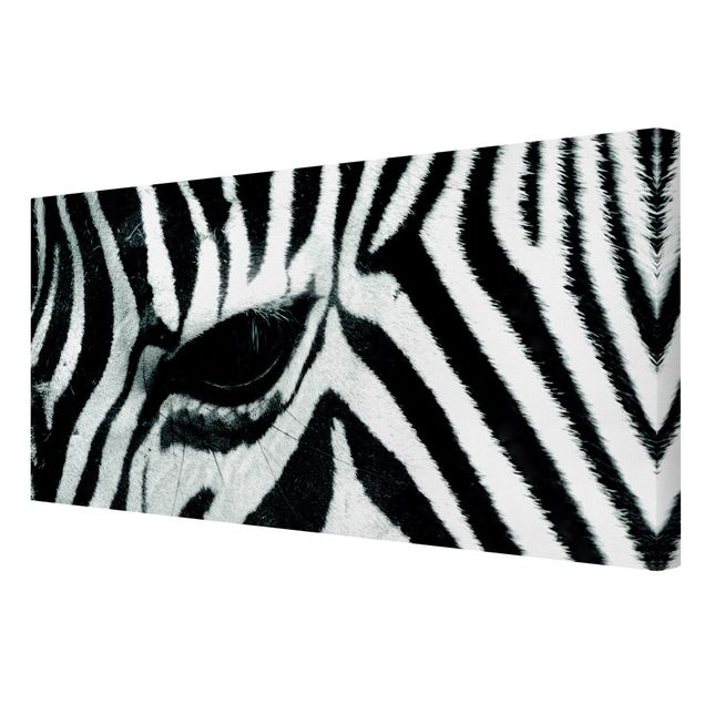 Prints animals Zebra Crossing