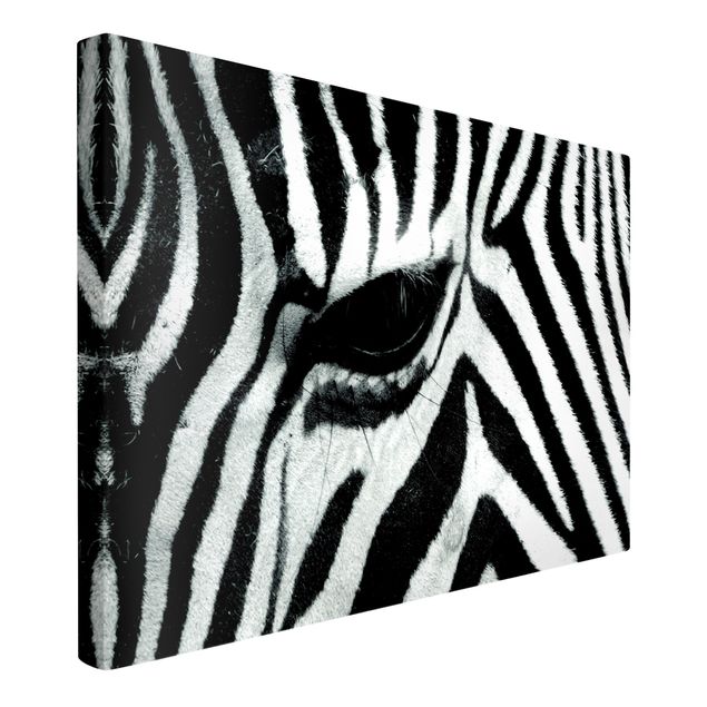 Zebra canvas Zebra Crossing