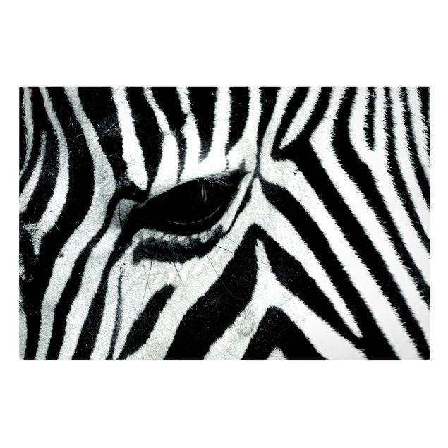 Wall art black and white Zebra Crossing