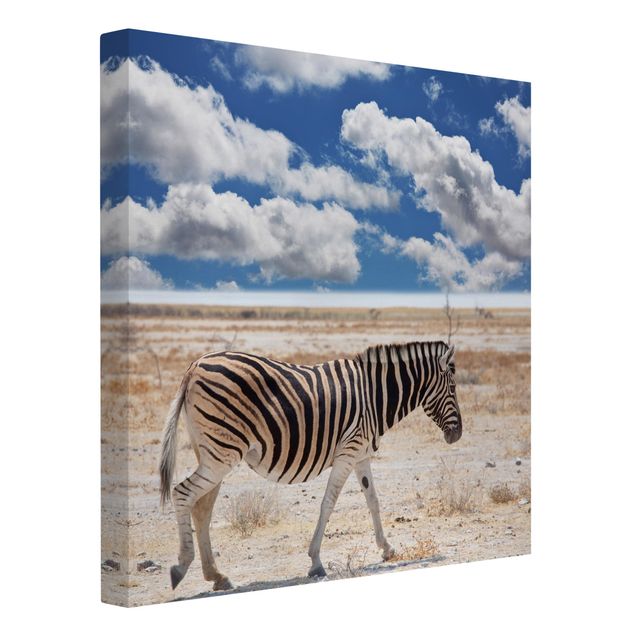 Zebra canvas print Zebra In The Savannah