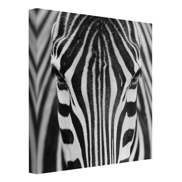 Zebra canvas Zebra Look