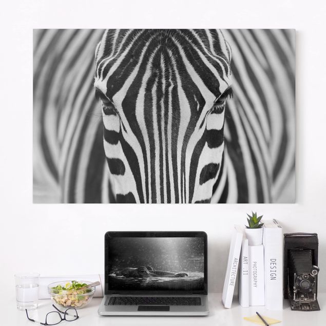 Kitchen Zebra Look