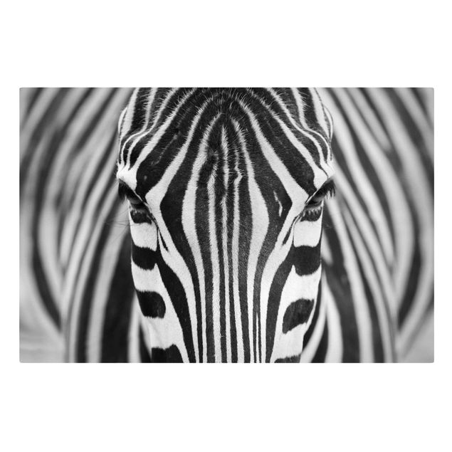 Wall art black and white Zebra Look