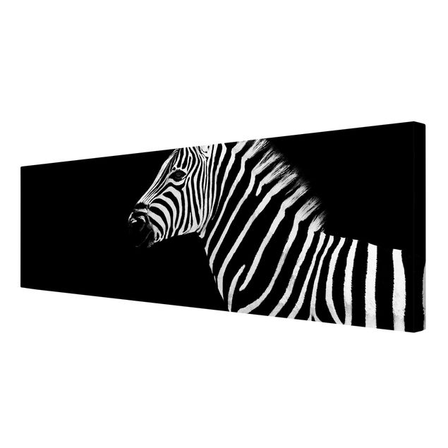 Contemporary art prints Zebra Safari Art