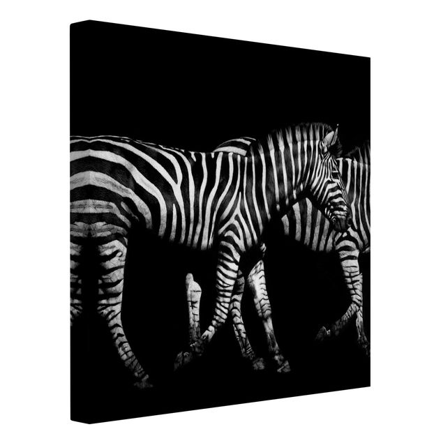 Black and white canvas art Zebra In The Dark