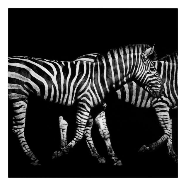 Animal canvas Zebra In The Dark