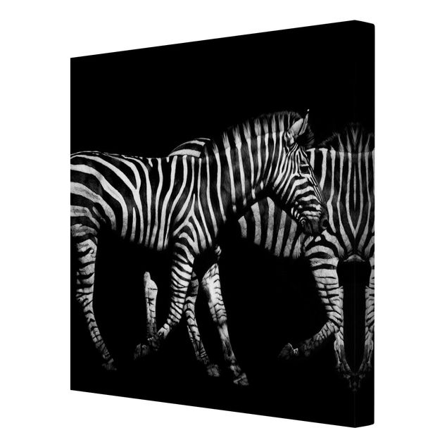 Prints modern Zebra In The Dark