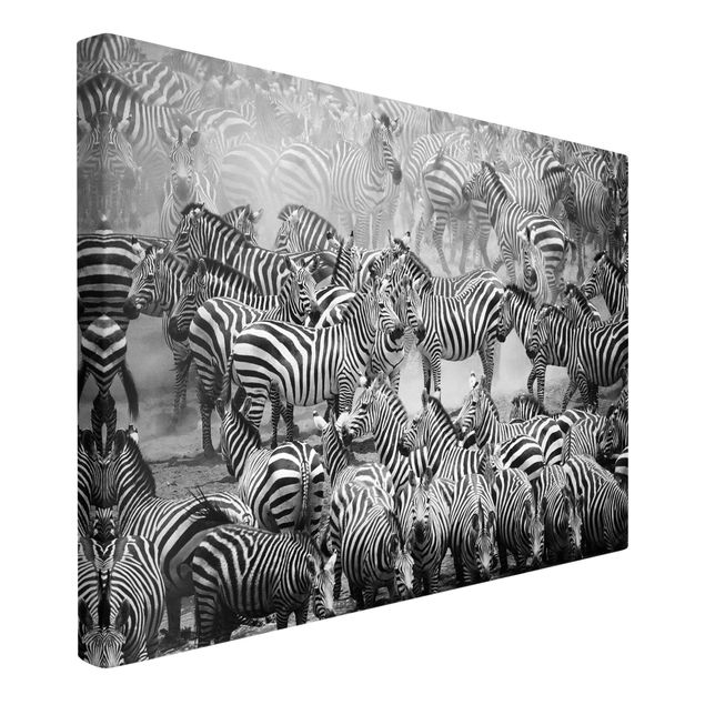 Wall art black and white Zebra herd II