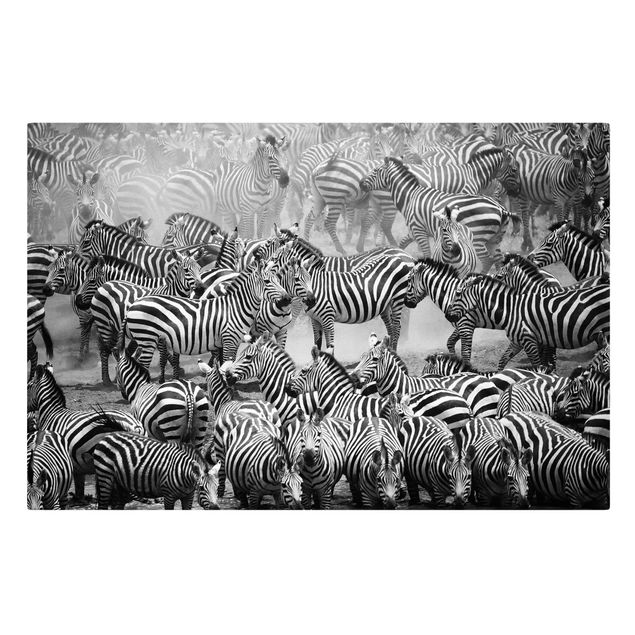 Prints animals Zebra herd II