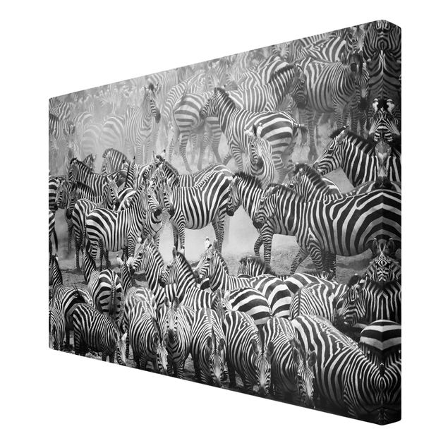 Modern art prints Zebra herd II