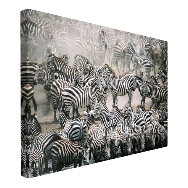Canvas black and white Zebra Herd