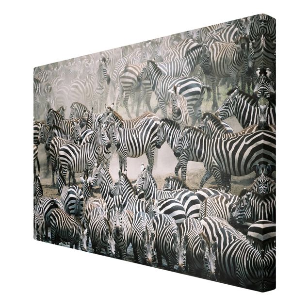 Contemporary art prints Zebra Herd