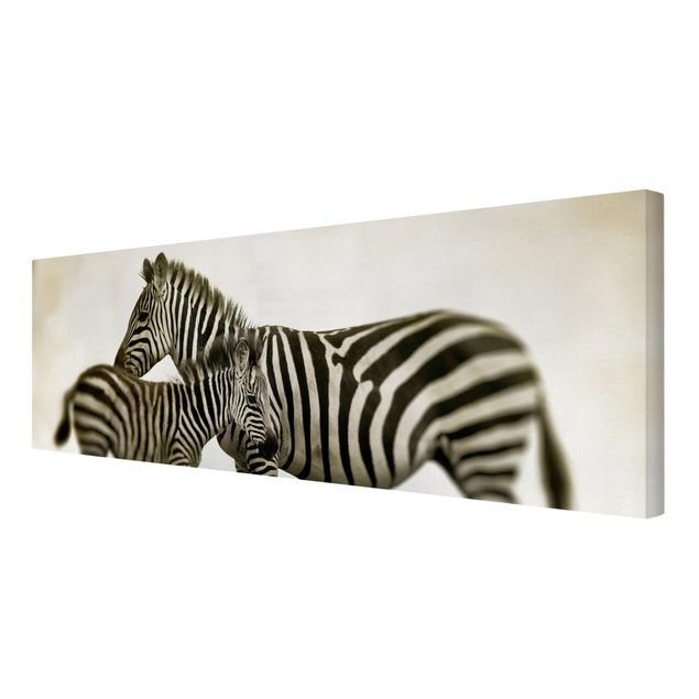 Contemporary art prints Zebra Couple