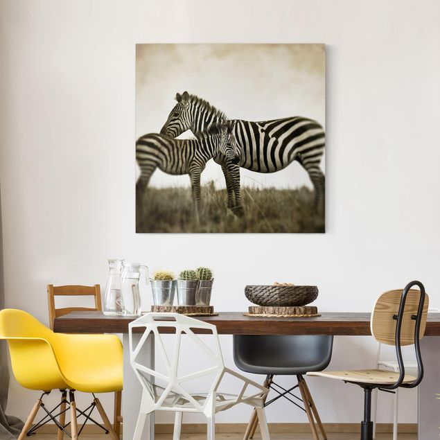 Zebra canvas Zebra Couple