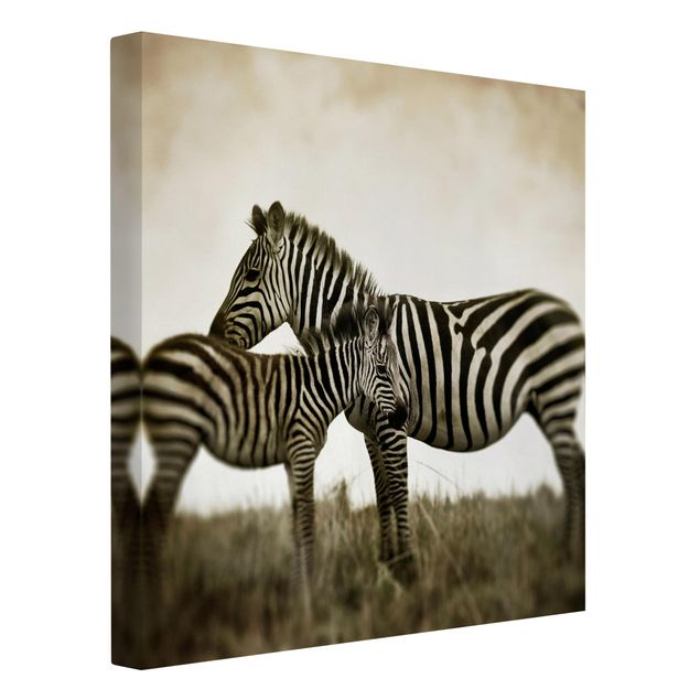 Canvas black and white Zebra Couple