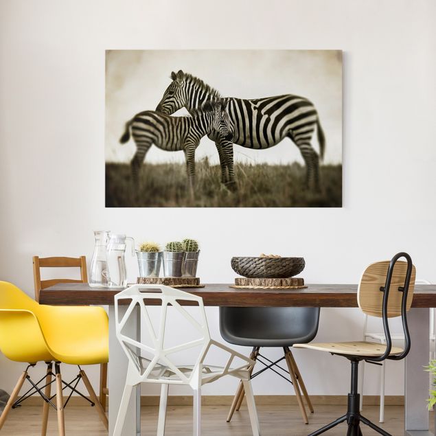 Zebra canvas Zebra Couple