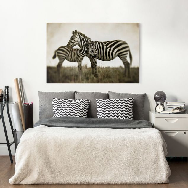 Zebra canvas print Zebra Couple