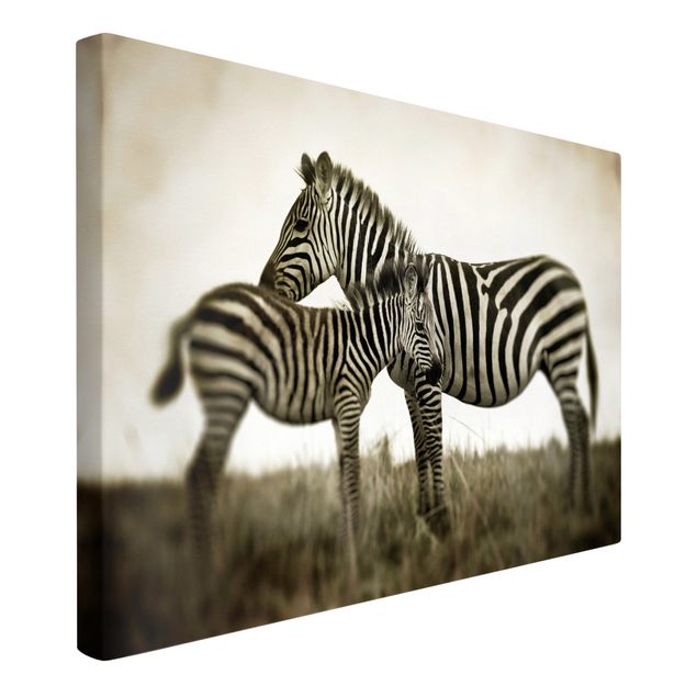 Canvas black and white Zebra Couple