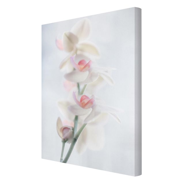 Prints modern Delicate Orchid