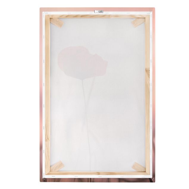 Prints modern Poppy Flower In Twilight