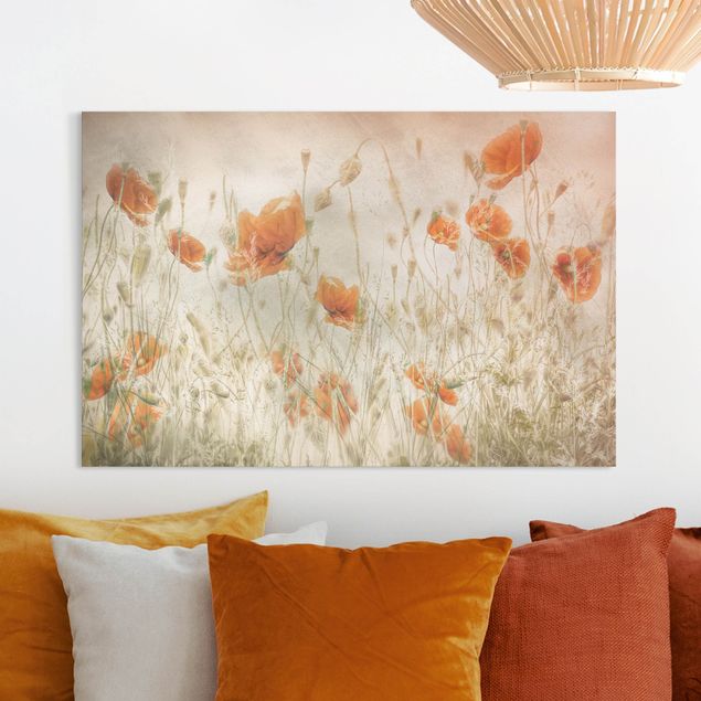 Canvas prints grasses Poppy Flowers And Grasses In A Field
