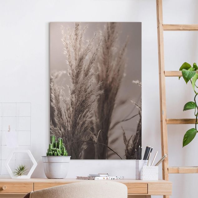 Canvas prints grasses Pampas Grass In Late Fall