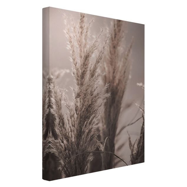 Prints flower Pampas Grass In Late Fall
