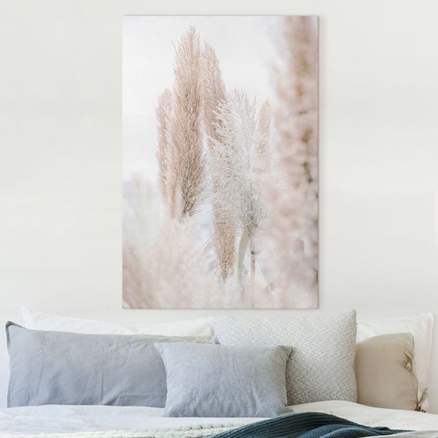 Canvas prints grasses Pampas Grass In White Light