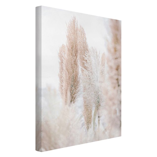 Floral prints Pampas Grass In White Light