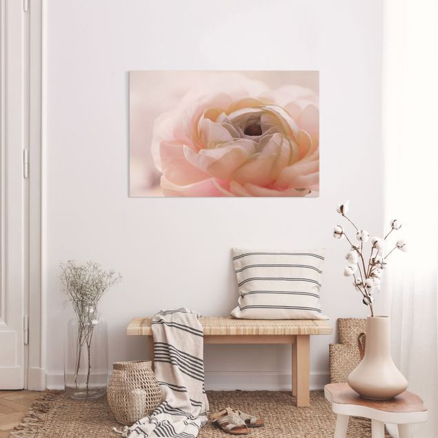 Rose canvas Focus On Light Pink Flower
