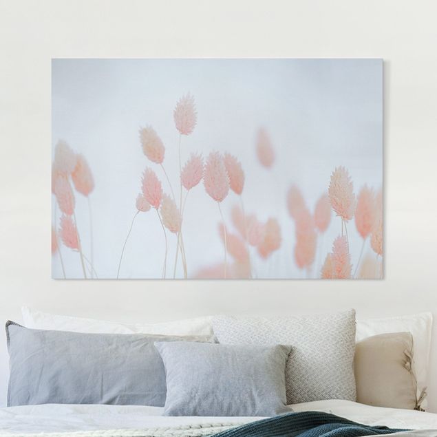 Canvas prints grasses Grass Tips In Pale Pink