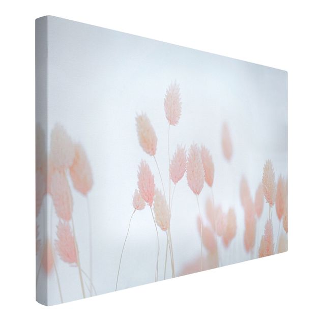 Prints flower Grass Tips In Pale Pink