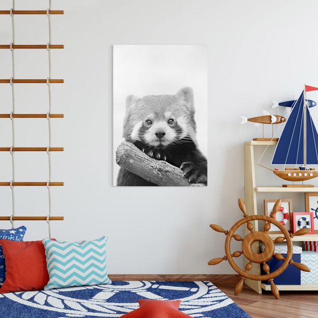 Wall art black and white Red Panda In Black And White