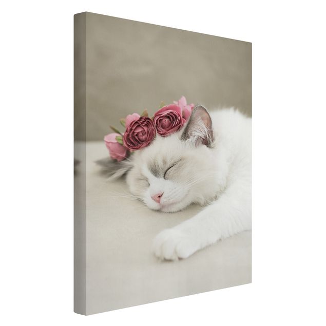 Cat canvas art Sleeping Cat with Roses