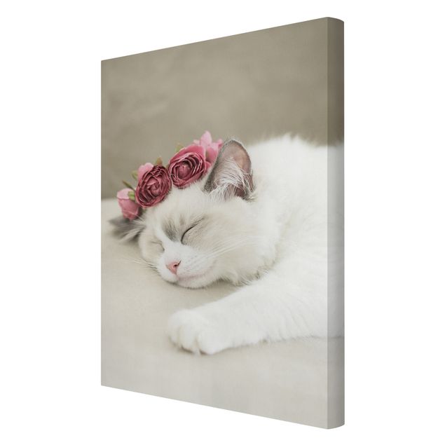 Prints floral Sleeping Cat with Roses