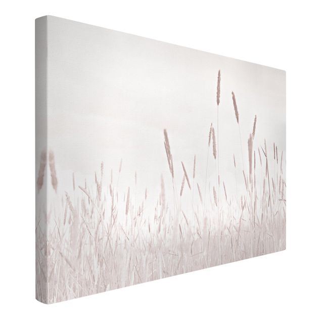 Prints flower Summerly Reed Grass