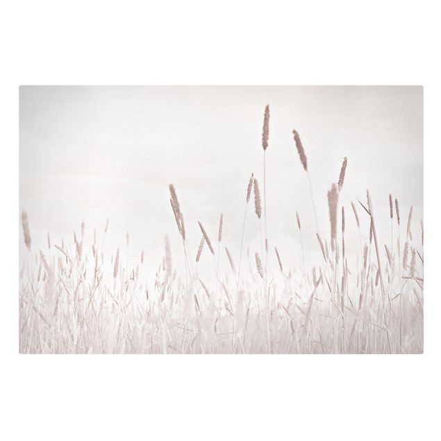 Modern art prints Summerly Reed Grass