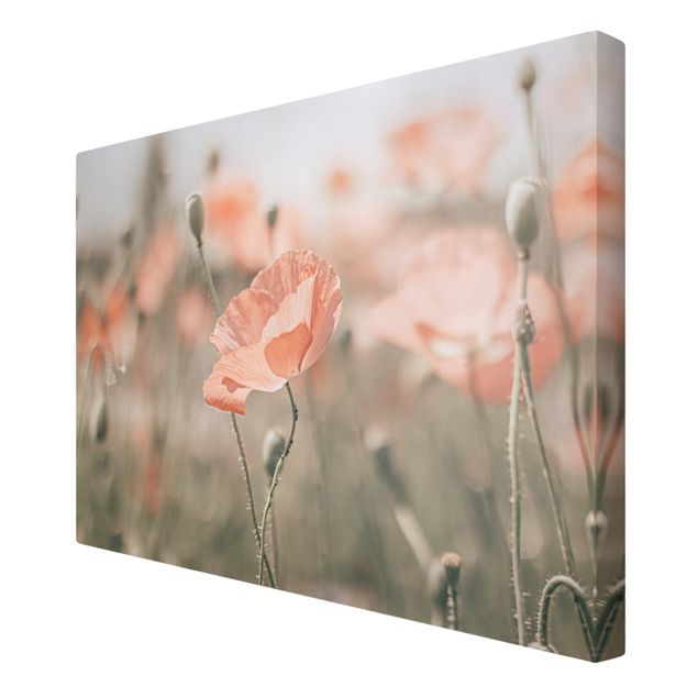 Modern art prints Sun-Kissed Poppy Fields