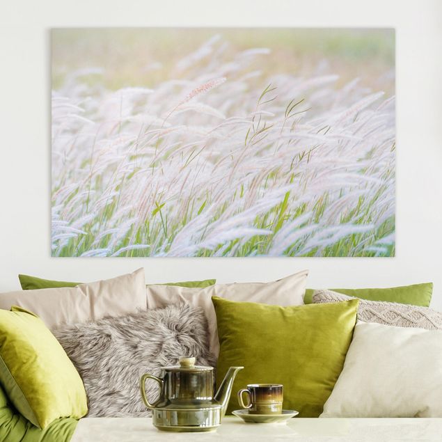 Canvas prints grasses Soft Grasses