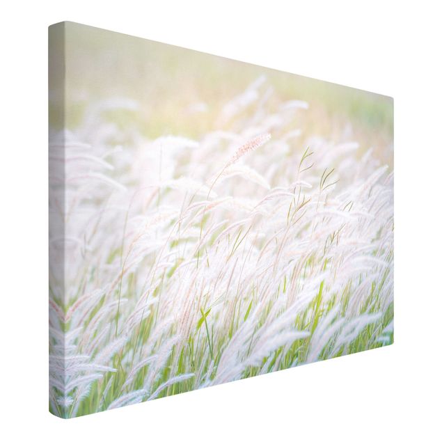Prints flower Soft Grasses