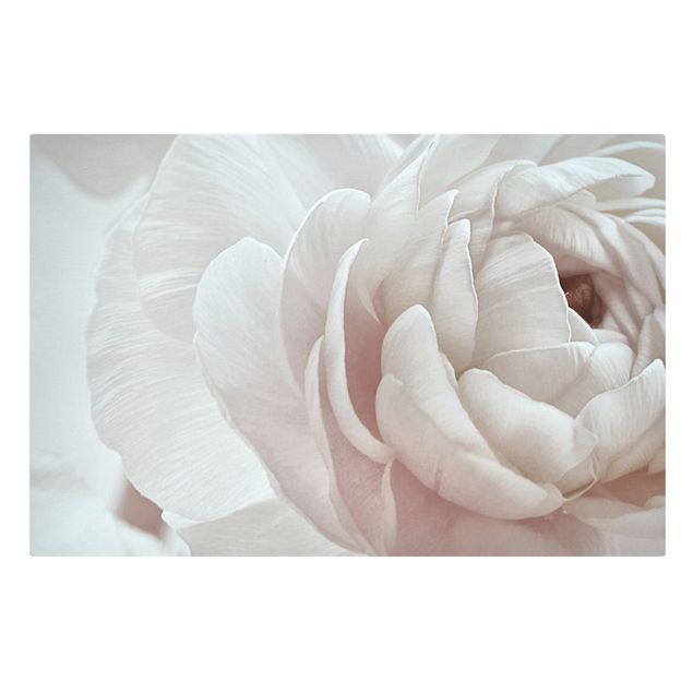 Contemporary art prints White Flower In An Ocean Of Flowers