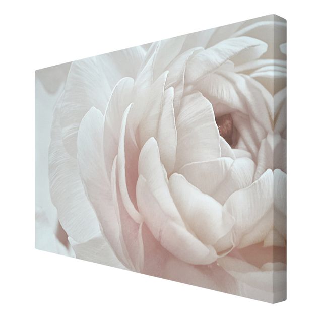 Prints pink White Flower In An Ocean Of Flowers