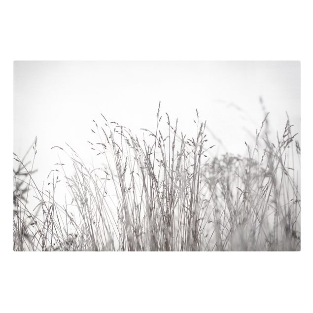 Contemporary art prints Winter Grasses