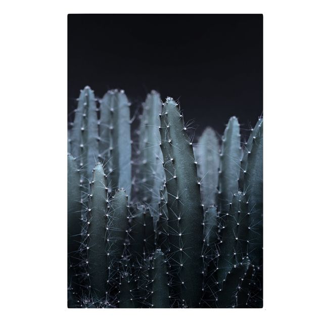 Contemporary art prints Desert Cactus At Night